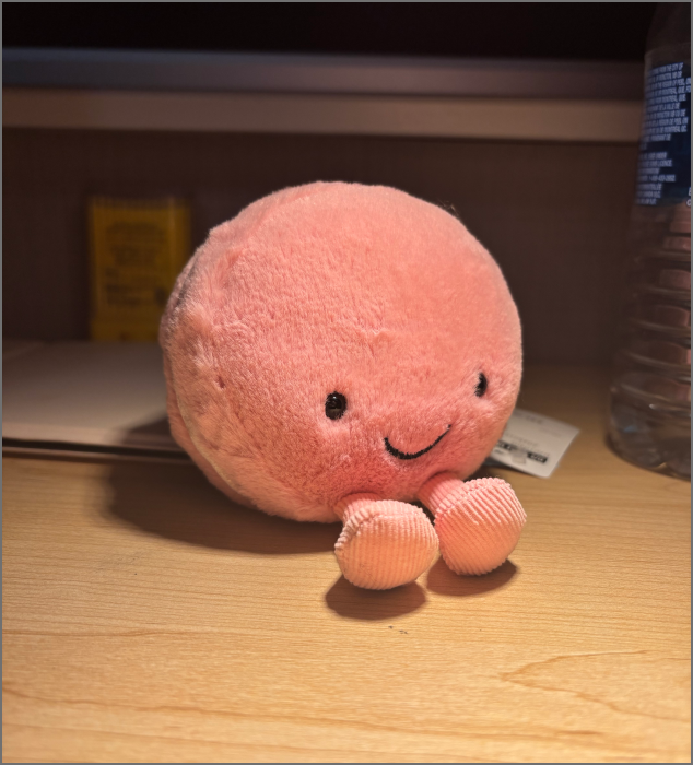 The image shows the pink Jellycat plush toy to be scanned, whose spherical structure and surface texture present scanning challenges.