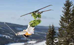 freestyle skiing(1) image