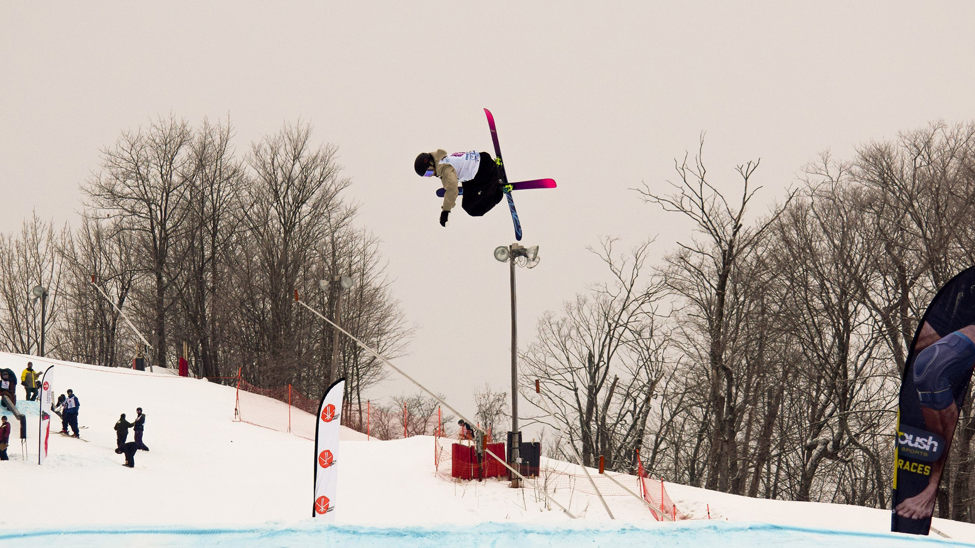 freestyle skiingimage